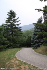 山中景色