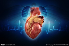 蓝色科技背景心脏模型高清图片