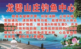 钓鱼中心海报