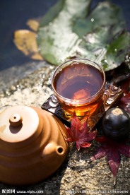 普洱茶
