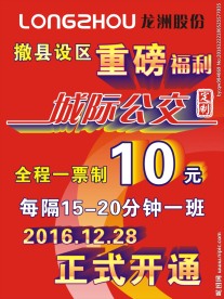 龙洲股份海报