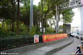 街角绿地