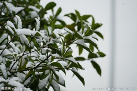 一点积雪