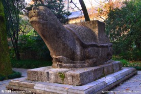 南京灵谷寺石龟