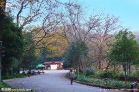南京灵谷寺 风景