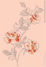 花纹图案