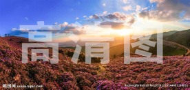 风景画