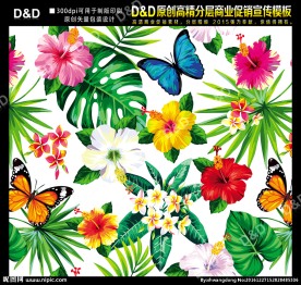 水彩蝴蝶花绘图 矢量包装
