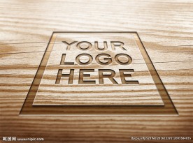 logo样机