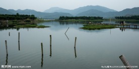 皂李湖风光