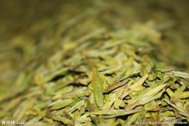 龙井茶 越乡龙井