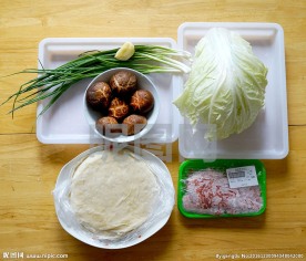 上海春卷制作素材