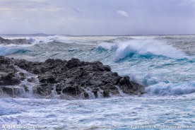 海