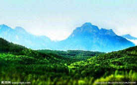 森林远山