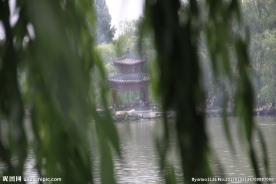 柳叶