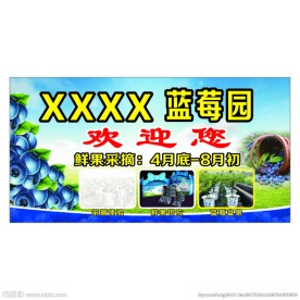 蓝莓园