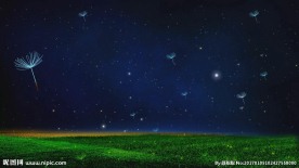 浪漫夜色萤火虫蒲公英星空场景