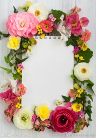 唯美鲜花高清摄影图片