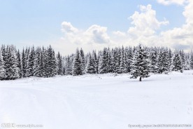 冬天雪景高清图片