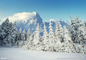 冬天雪景高清图片