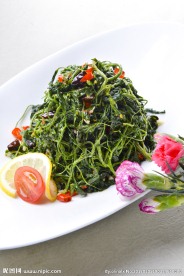 山野菜