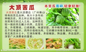 大顶苦瓜