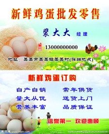 出售鸡蛋名片