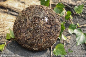 普洱茶