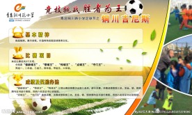小学足球运动说明展板