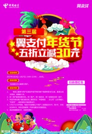 翼支付年货节