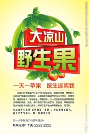 苹果海报