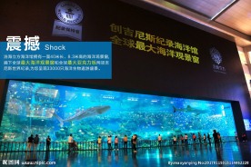 海洋观光