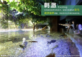 海洋世界