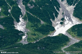 山坡上绿色植被