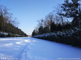 雪景