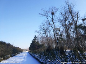 雪景
