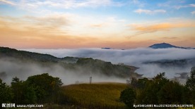 协里山