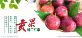 进口红李