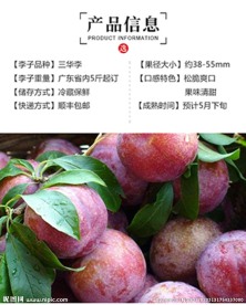 三华李产品详情页