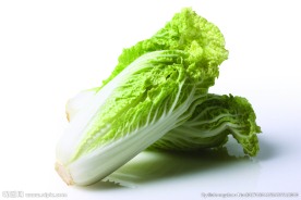 大白菜
