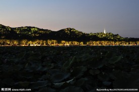 西湖保叔塔夜景