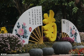 菊花展