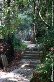福建龙岩客家围屋