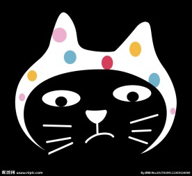 猫咪 表情 带帽子的猫 黑猫
