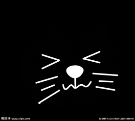 猫咪 表情 带帽子的猫 黑猫