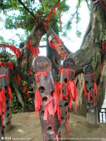 祈福树