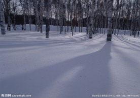 林海雪原