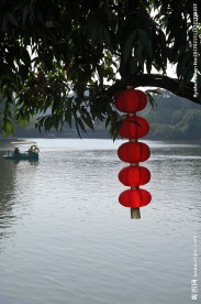 玉湖树上红灯笼