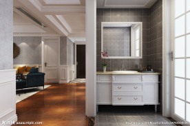 美式干湿分离卫生间