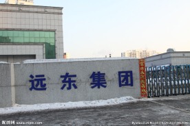 远东集团